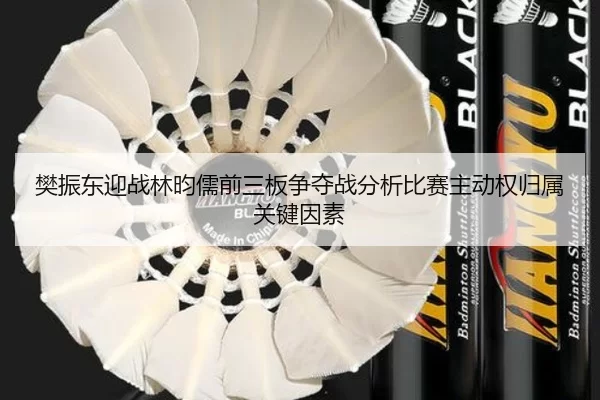 樊振东迎战林昀儒前三板争夺战分析比赛主动权归属关键因素（HTH）
